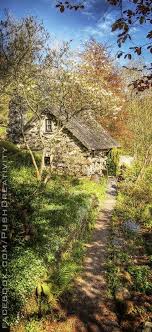 Well you're in luck, because here they come. Push Creativity Studio Google Cottage Garden Snowdonia Exterior