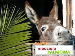 1) którą niedzielą wielkiego postu jest niedziela palmowa? Niedziela Palmowa By Beata Zabka On Genially