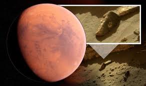 Is there life on mars? Life On Mars Ufo Hunter Is Convinced Nasa Photo Of Alien Face Proves Aliens Are Real Weird News Express Co Uk
