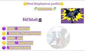 Image result for Biophysical Profile