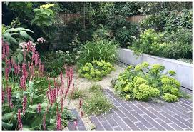 When making a garden, almost everyone always use ornamental plants to beautify the grounds. Garden Design Trends For 2020 From The Sgd Society Of Garden Designers