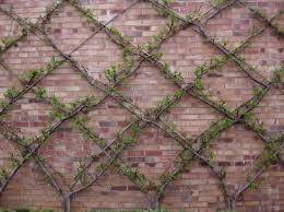 If you live in the city, or on a small piece of land, you have to get creative with your limited outdoor the latest project from entertainment designer charles doell of mister important design opened last month at art fair artpadsf, and is as. 25 Incredible Diy Garden Fence Wall Art Ideas