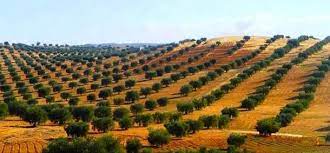 noble libyaنبل ليبيا on twitter libya places to visit north africa