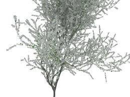 Blooming Cherry Tree 3d Model Cherry Tree Bloom 3d Model