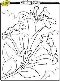 Easter Lilies Ii On Crayola Com Crayola Coloring Pages Easter Coloring Pages Spring Coloring Pages