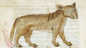 Crocotta Wikipedia