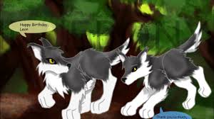 See full list on paranormalschool.com Wolf Tf 3 Youtube