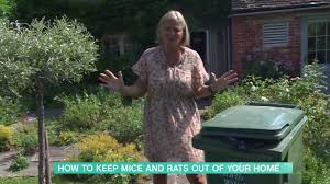 Check spelling or type a new query. How To Keep Rats And Mice Out Of Your Home This Morning