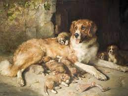 Do Adult Dogs Still Recognize Their Mothers Psychology Today