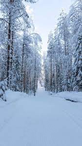 20 Snow White Nature Wallpaper Full Hd Phone Backgrounds For Iphone Android Lock Screen Backgrounds Phone Wallpapers Phone Backgrounds Snow White Wallpaper