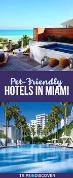 10 Pet Friendly Hotels Your Pup Will Love In Miami In 2020 Miami Beach Hotels Outdoor Restaurant Patio South Beach Hotels