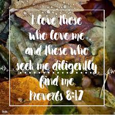 I Love Those Who Love Me And Those Who Seek Me Diligently Find Me Proverbs 8 17 Instaencouragements Instagood Bible Devotions Scripture Verses Knowing God