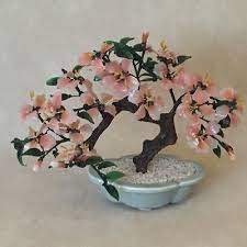 Pin On Bonsai