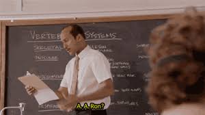 What is the proper role of a substitute teacher? Key Peele Substitute Teacher Skit Album On Imgur