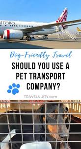 Check spelling or type a new query. Should You Use A Pet Transport Company Travelnuity