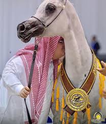 حاكم إمارة الشارقة الآن هو سلطان بن محمد بن صقر بن خالد بن سلطان بن صقر بن راشد القاسمي، ولد الشيخ في 6 من شهر يوليو من عام 1939 (أي أن عمره الآن 82 سنة)، عين الشيخ حاكم لإمارة الشارقة وتسلم. Ø§Ù„Ø£Ù…ÙŠØ± Ø¹Ø¨Ø¯ Ø§Ù„Ù…Ø¬ÙŠØ¯ Ø¨Ù† Ø³Ù„Ø·Ø§Ù† ÙŠØªÙˆØ¬ Ø¨Ø§Ù„Ù…ÙŠØ¯Ø§Ù„ÙŠØ© Ø§Ù„Ø°Ù‡Ø¨ÙŠØ© Ù„Ù„Ø¬ÙˆØ§Ø¯ Ø§Ù„Ø¹Ø±Ø¨ÙŠ Ø¥Ø¹Ù„Ø§Ù…ÙŠÙˆÙ† Ù…ØªÙ…ÙŠØ²ÙˆÙ†
