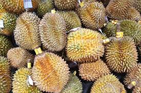 Durian musang king atau dari negara asalnya di sebut mou san wan (berarti raja kucing), pertama kali dikenalkan pada tahun 1990. Benarkah Durian Montong Dan Musang King Berasal Dari Indonesia Halaman All Kompas Com