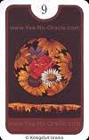 This random card generator may help with decisions with your love life or career. Gypsy Yes No Oracle The Yes No Oracle From The Gypsies