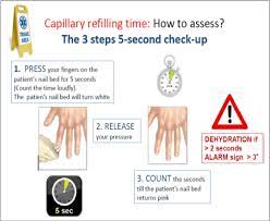 What is capillary fill time? How To Assess Capillary Refilling Time At The Triage Download Scientific Diagram