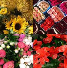 Maybe you would like to learn more about one of these? Boulevard Florist Wholesale Florist And Flowers In Los Angeles