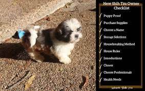 Maybe you would like to learn more about one of these? New Shih Tzu Owner Checklist From Planning To Welcoming To Enjoying