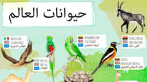 أسماء الحيوانات بالإنجليزي انفوجرافيك Kaplan Blog