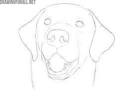 Before we start there are some important things i like to mention. How To Draw A Dog Face