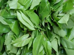 The objective of vegetable production in home garden is to produce vegetable to support daily intake for the family members throughout the year. Http Www Fao Org Fileadmin Templates Fcit 24 25 Sept Ppt Presentations Eyzaguirre Urban Agric Indig Veg Bioversity Pdf