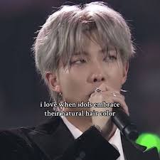 Gray Silver Hair Namjoon