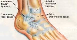Torn Ligament In Ankle
