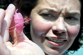 SFGate: Day in Pictures