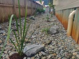 The curving limestone paver path is defined by the plantings. Narrow Side Of House Landscaping Cairns We Can Do It 0434 082 420