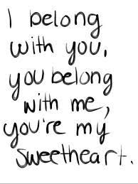 What does that mean, are you being sarcastic? Beautiful Chaos I Belong With You You Belong With Me You Re My