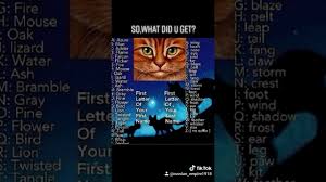 There are plenty of good warrior cat names to choose from for warrior cat leaders, apprentice warrior cats or rogue warrior cats. Warrior Cats Name Generator Youtube