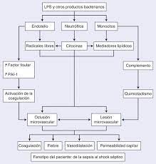 Maybe you would like to learn more about one of these? Sepsis Grave Y Shock Septico En Urgencias Sciencedirect