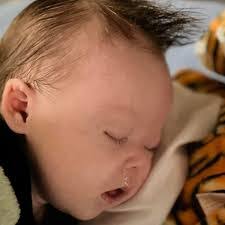 Bridget Steed's Instagram, Twitter & Facebook