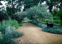 White Roses And Olive Trees Landscape Design Google Search Sustainable Garden Landscape Design Outdoor Gardens
