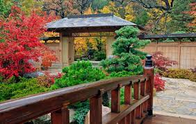 Natural Beauty Honolulu Star Advertiser