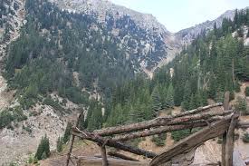 نورستان یکی از ۳۴ ولایت (استان) افغانستان است و در شرق این کشور قرار گرفته‌است. ÙˆÙ„Ø§ÙŠØ© Ù†ÙˆØ±Ø³ØªØ§Ù† Mapio Net