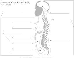 Pin On Health