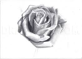 How To Draw A Rose In Pencil Draw A Realistic Rose Step By Step Drawing Guide By Duskeyes969 Dragoart Com Roses are often referred to as the symbol of romance and love.