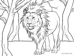 Dibujo León Para Colorear