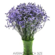Limonium Purple Flower Fiftyflowers Com In 2020 Purple Flowers Flowers Flower Arrangements