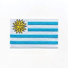 Flagge von uruguay brasilien, argentinien flagge, argentinien, argentinien flagge png. 40 X 25 Mm Uruguay Flagge Montevideo Sudamerika Patch Aufnaher Aufbugler 0951 A Amazon De Auto