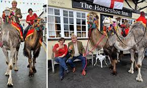However, it is no such thing. Swapping The Car For A Camel Meet The Family Who Keep A Herd Of Camels Daily Mail Online