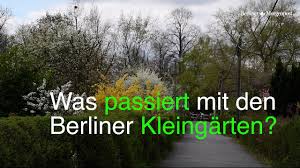 Hallo liebe verpächter, besitzer und eigentümer, meine frau und ich sind auf der suche nach einem garten in sachsenhausen oder niederrad zur pacht. Kleingarten In Berlin Kleingartner In Sorge Um Ihre Anlagen Berliner Morgenpost