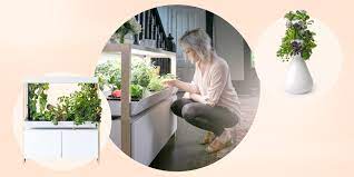 The indoor garden kit grows plants in water instead of soil, which the brand claims will make speed up the growing process. The 6 Best Indoor Garden Kits And Systems Of 2021
