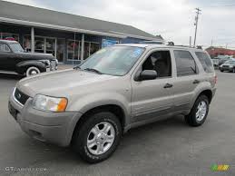 Image result for Medium Wedgewood 2000 Escape