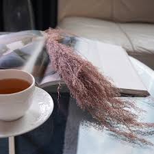 Image result for Agrostis products