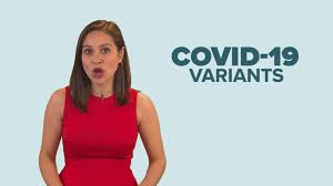 Completing this questionnaire attests the answers indicated are accurate. Fort Bend County Covid Vaccine Registration Portal Changes Khou Com